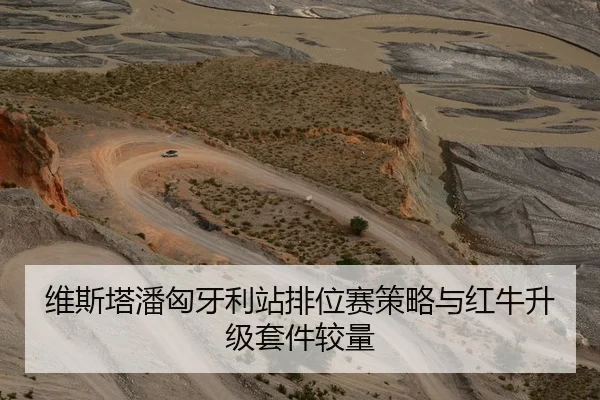 维斯塔潘匈牙利站排位赛策略与红牛升级套件较量
